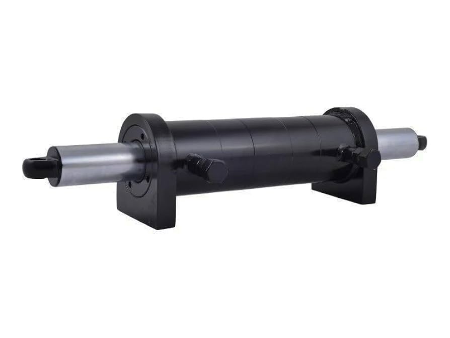 Amazon.com: HOLDWELL Steering Cylinder 1001129267 Compatible